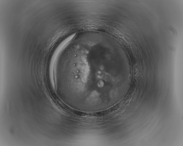 X0000115200742200911121841