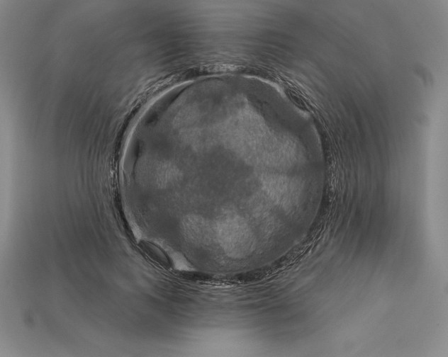 X0000115200743200911121841