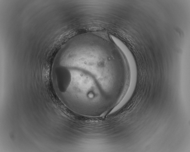 X0000115200745200911121841