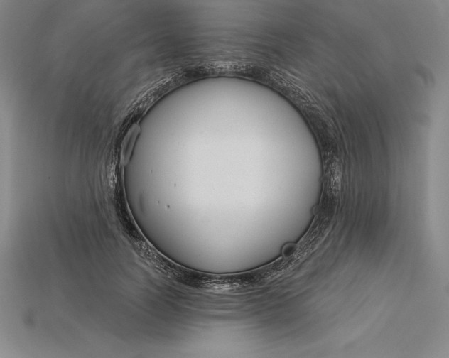 X0000115200746200911121841