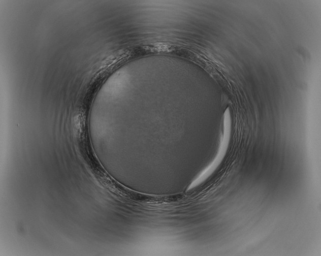 X0000115200747200911121841