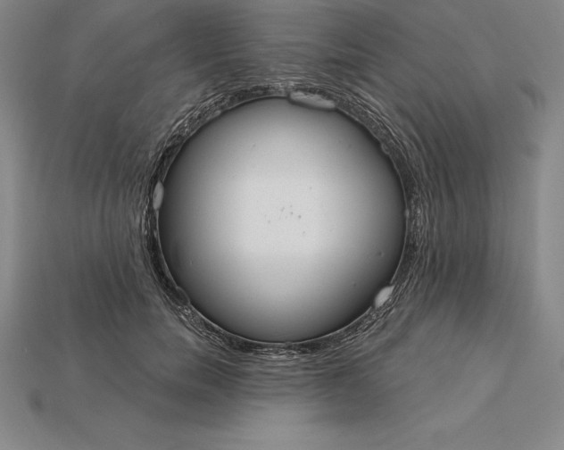 X0000115200750200911121841