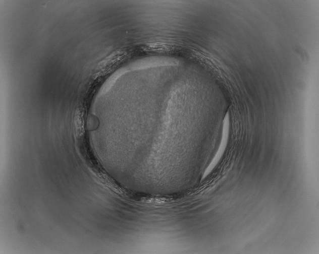 X0000115200751200911121841