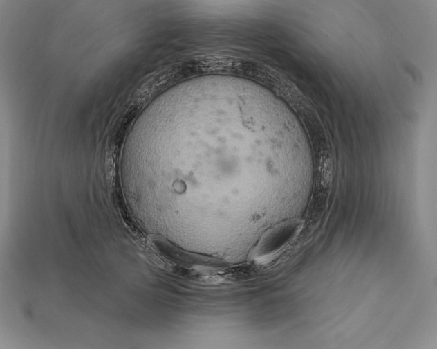 X0000115200753200911121842