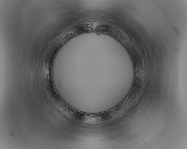 X0000115200754200911121842