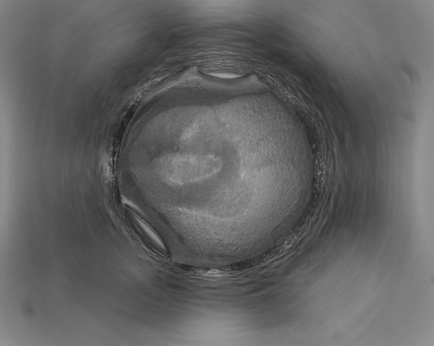 X0000115200755200911121842