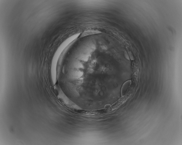 X0000115200758200911121842