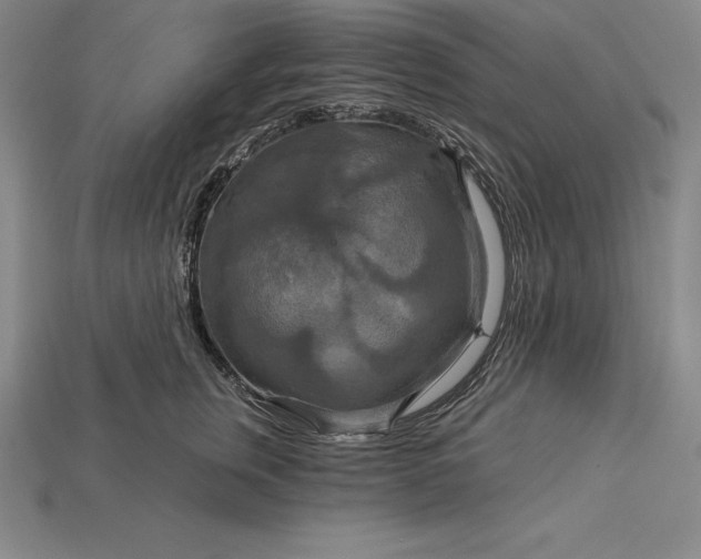 X0000115200759200911121842