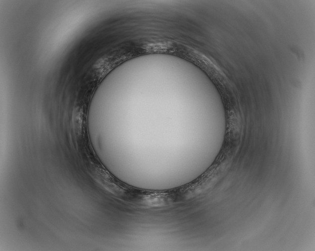 X0000115200761200911121842