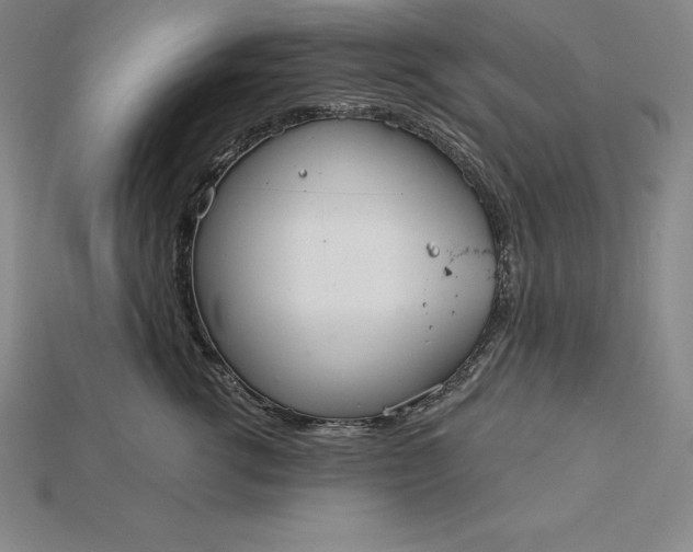 X0000115200762200911121842