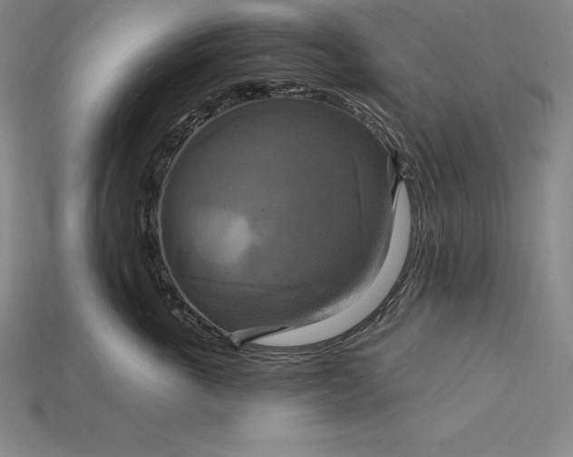 X0000115200763200911121842