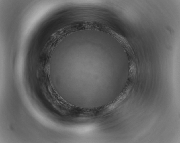 X0000115200765200911121842