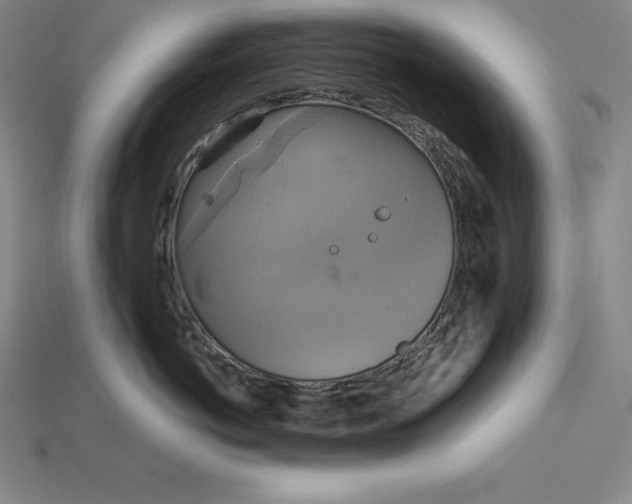 X0000115200766200911121842