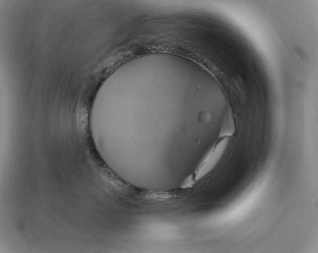 X0000115200767200911121842