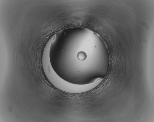X0000115200769200911121841