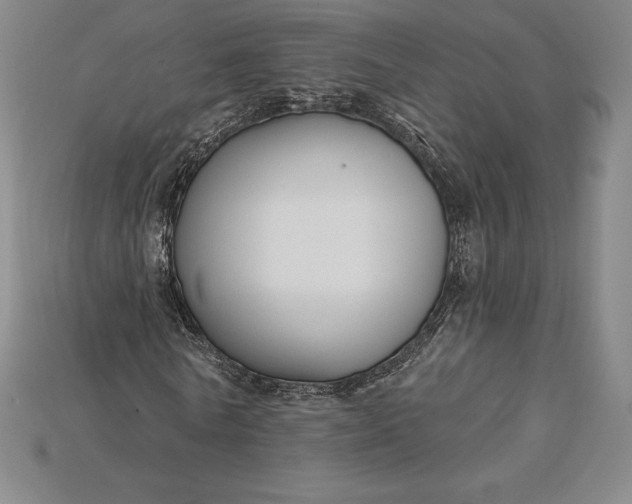 X0000115200770200911121841