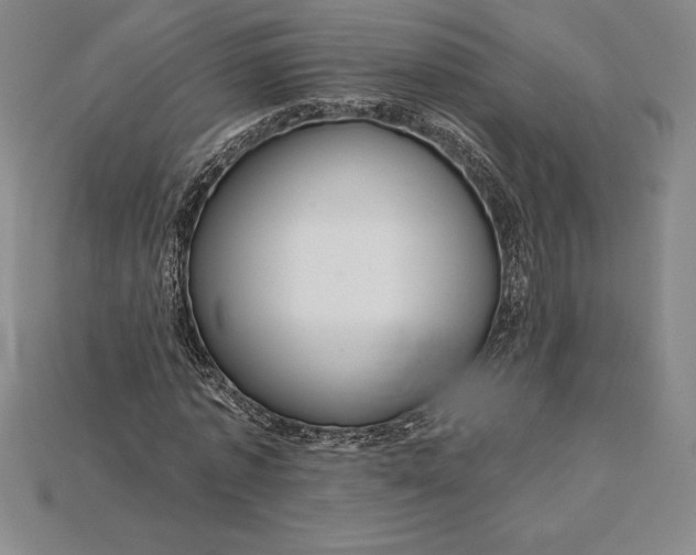 X0000115200773200911121841