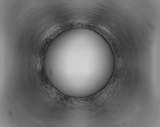 X0000115200774200911121841