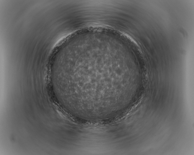 X0000115200775200911121841
