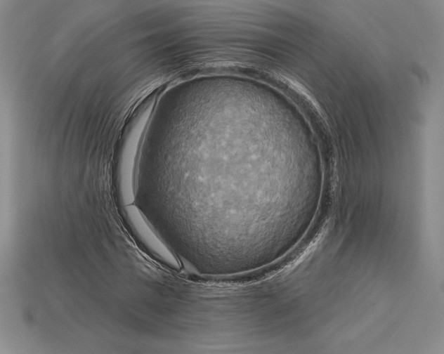 X0000115200777200911121841