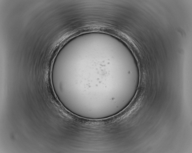 X0000115200778200911121841