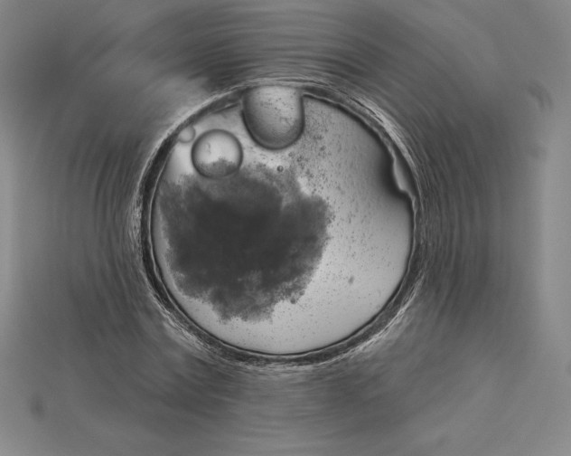 X0000115200779200911121841