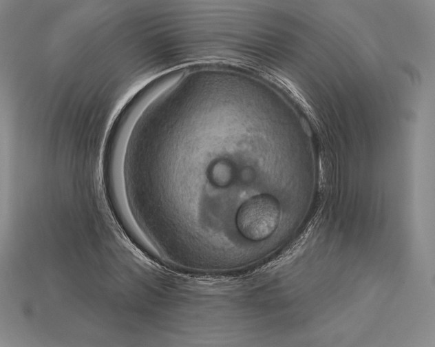 X0000115200780200911121841