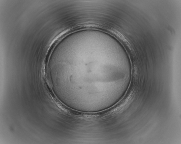 X0000115200782200911121841