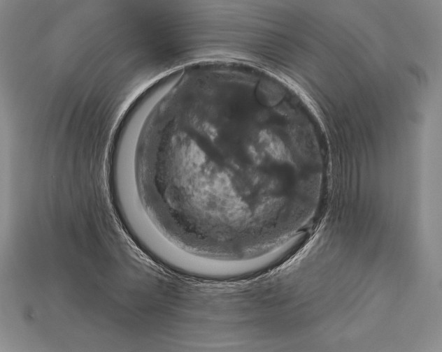 X0000115200783200911121841