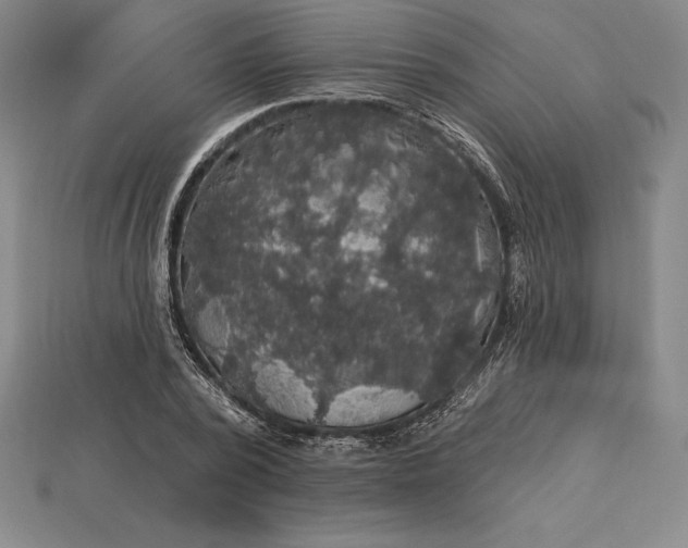 X0000115200784200911121841