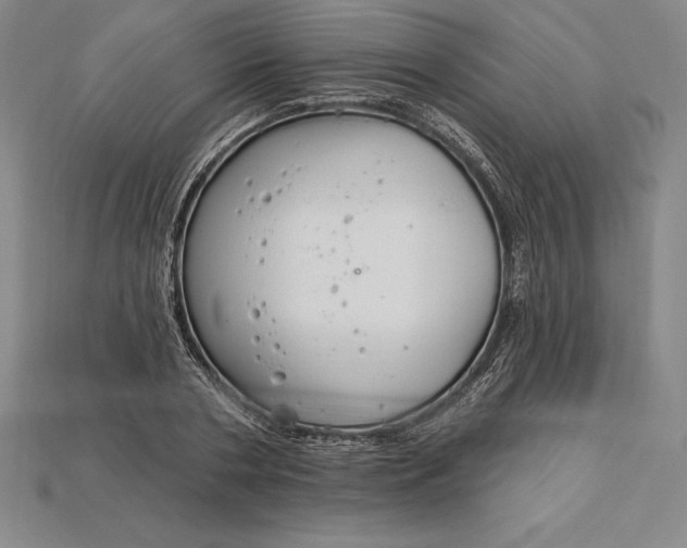 X0000115200786200911121841