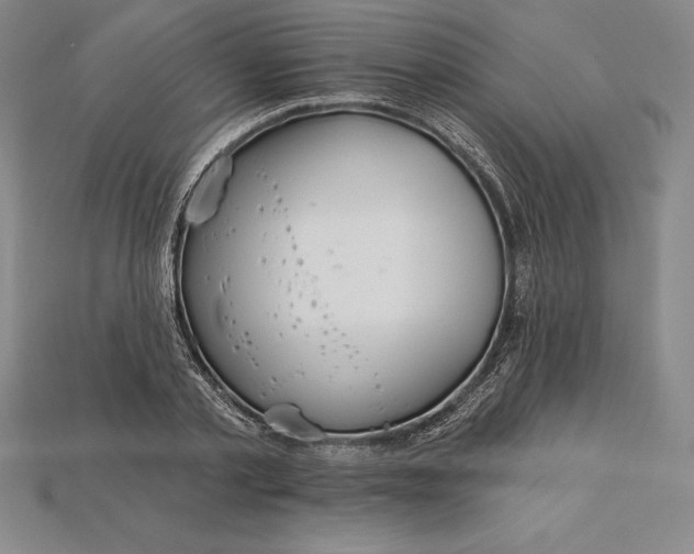 X0000115200789200911121841