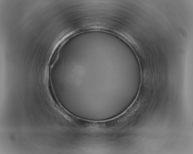 X0000115200790200911121841