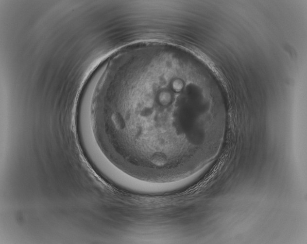 X0000115200791200911121841
