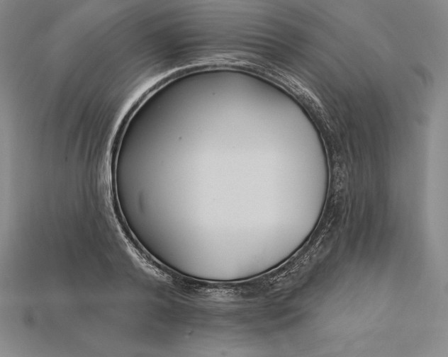 X0000115200792200911121841