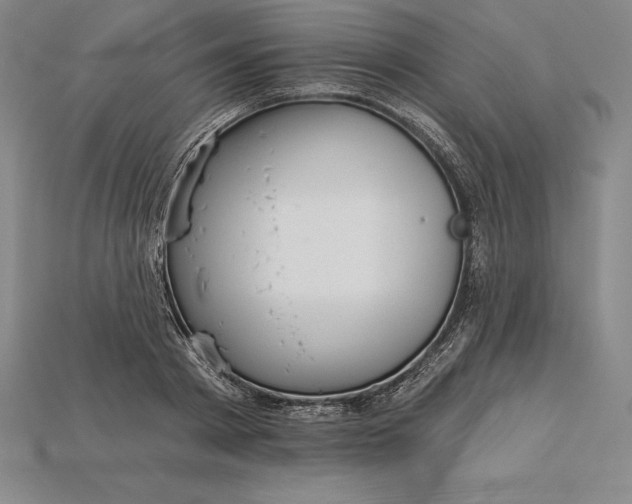 X0000115200793200911121841