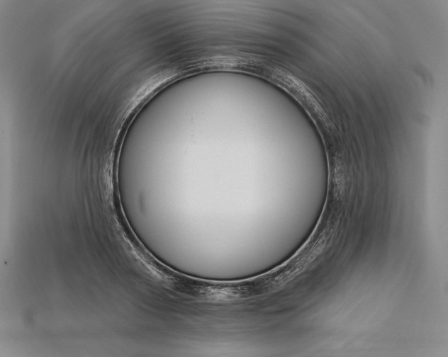 X0000115200794200911121841