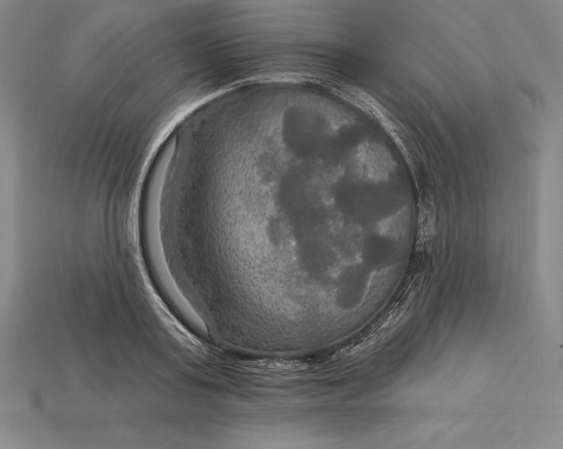 X0000115200795200911121841