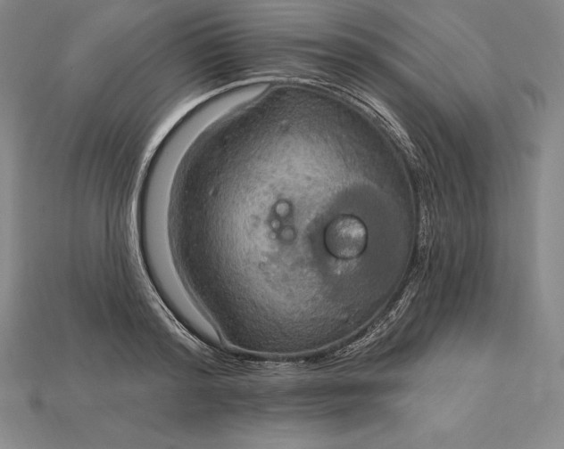 X0000115200796200911121841