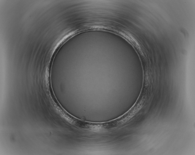 X0000115200798200911121841