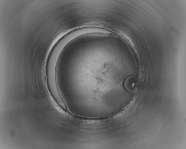 X0000115200800200911121841
