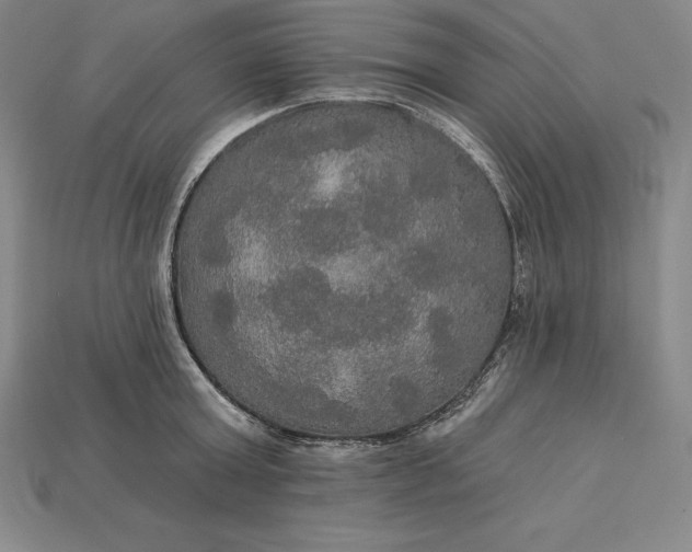 X0000115200803200911121841
