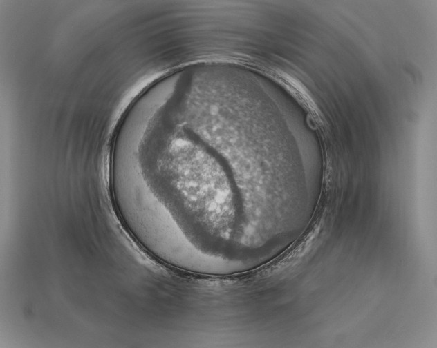 X0000115200804200911121841