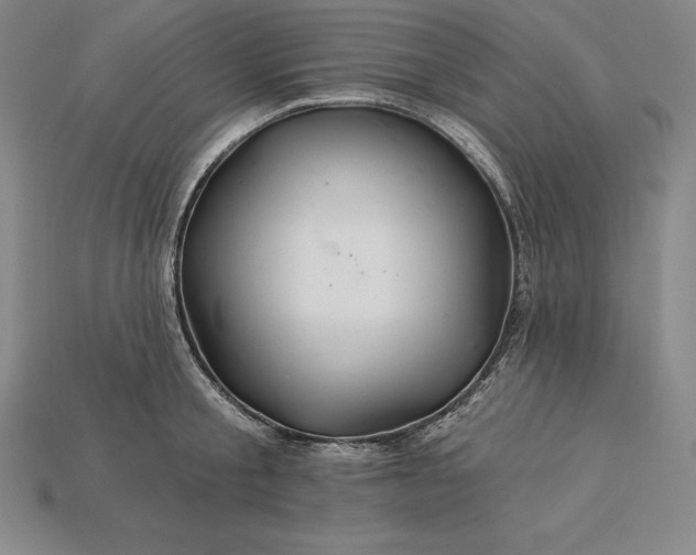 X0000115200805200911121841