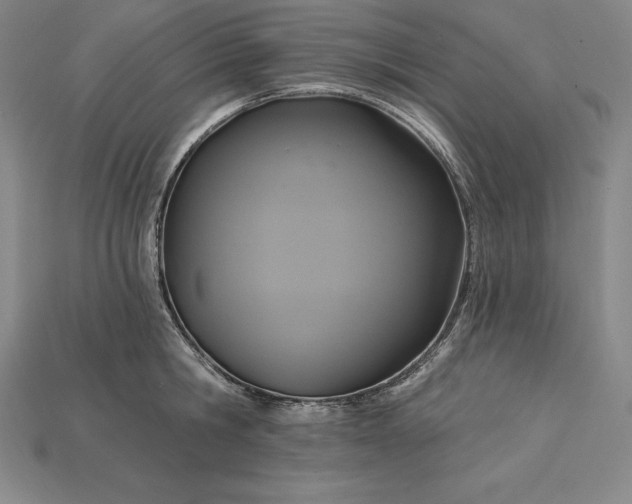 X0000115200806200911121841