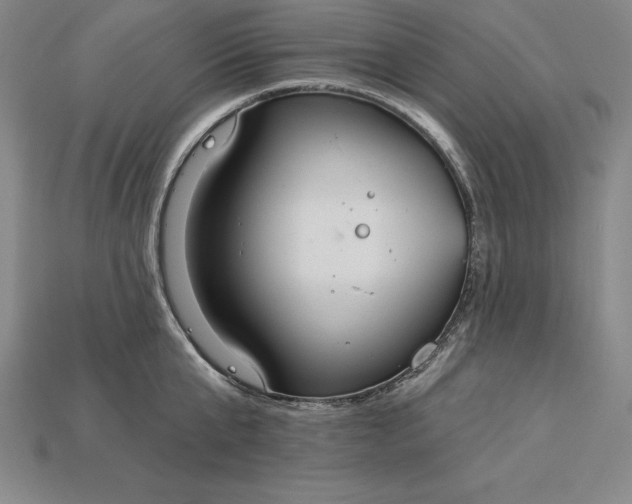 X0000115200807200911121841
