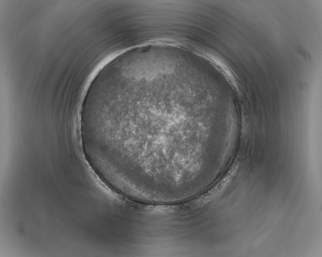 X0000115200808200911121841