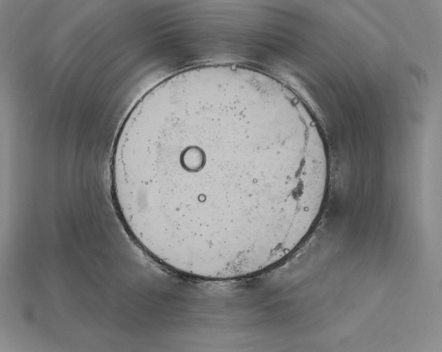 X0000115200810200911121841