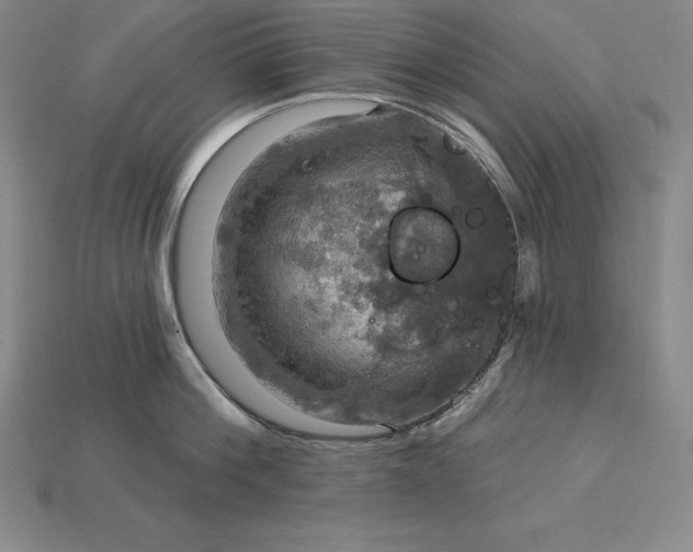 X0000115200812200911121841