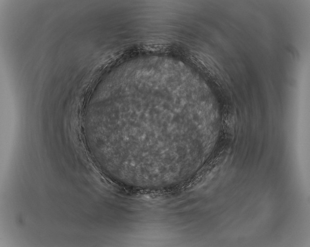 X0000115200817200911121840